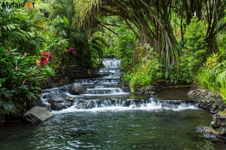 Arenal Volcano Hot Springs, Costa Rica