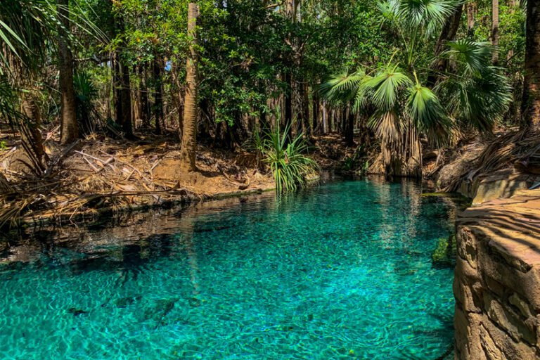 Mataranka Springs