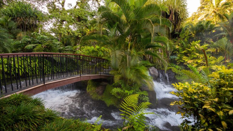 Tabacon Thermal Resort